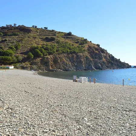 Studio Climatise A Avec Terrasse, Acces Plage Direct, Parking, Et Sports Nautiques - Fr-1-225c-97 Apartmán Cerbère